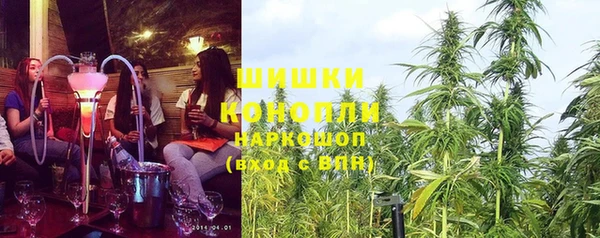 мдпв Лабытнанги